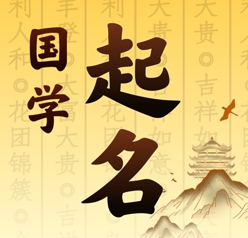 漯河市国学起名 人工起名一对一